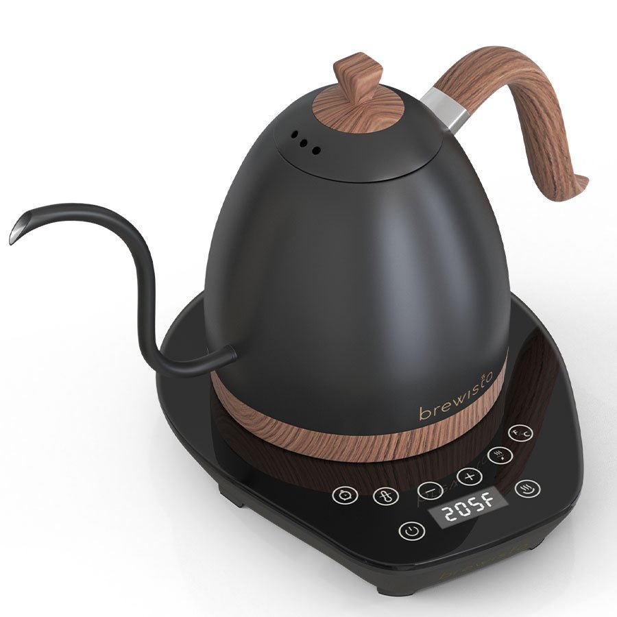 Brewista Artisan 0.6L Gooseneck Kettle Variable Kettle - DFRNT.