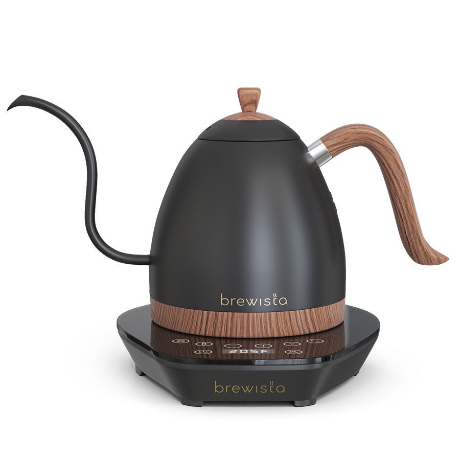 Brewista Artisan 0.6L Gooseneck Kettle Variable Kettle - DFRNT.